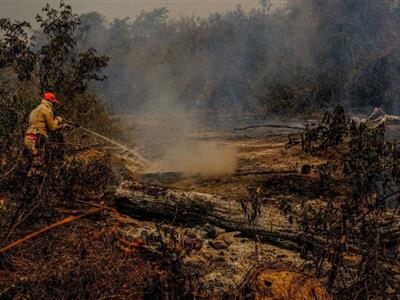 Foto da Notícia: OAB-MT acompanhará expedição à regiões de incêndio no pantanal mato-grossense